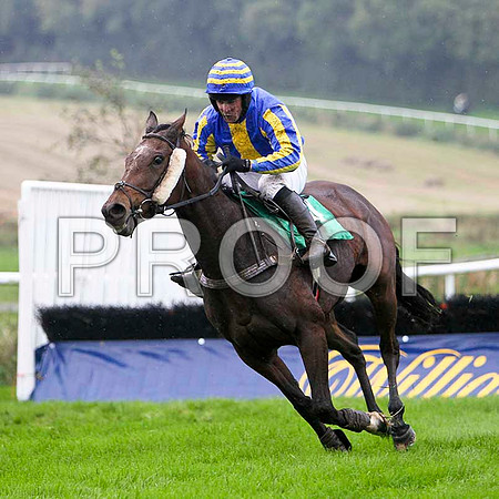 Farfields , 5th - Jockey Mr S Crawford - FT8E5317-e