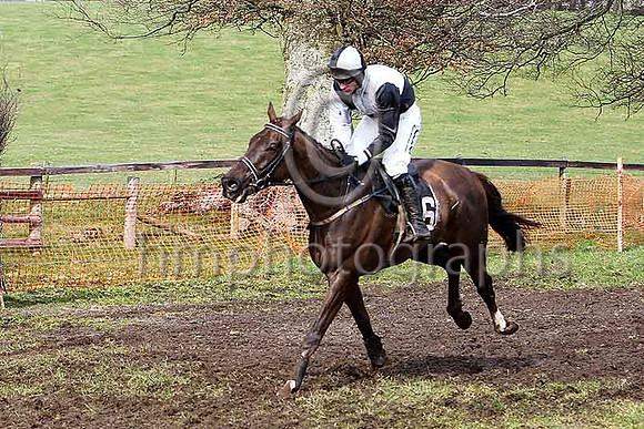 Third Race - Ballycassel 5th Div 1 - CU2D7105-e