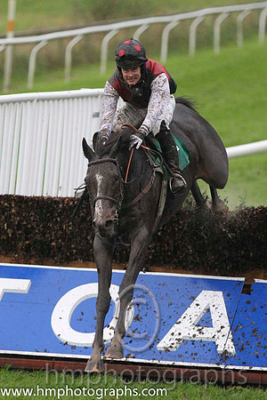 05 Garamor Boy & R P Treacy - 5th (8, black and royal blue hoops ) - FT8E9119-24
