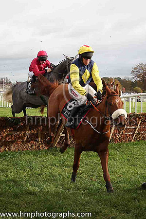 F The Storyteller and B J Geraghty ( 6 , blue, yellow star ) Trainer - G Elliott , Owner - Mrs P Sloan