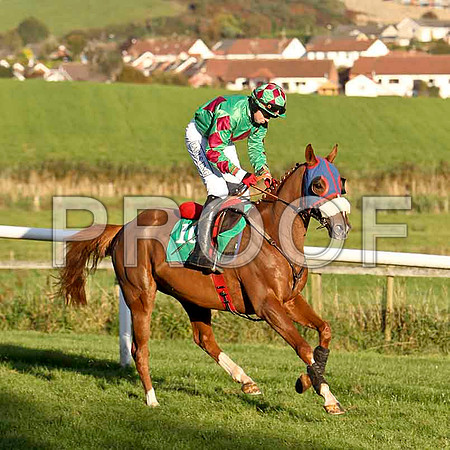 Tarkani , Jockey K M Donoghue - 3rd - CU2D9392-e