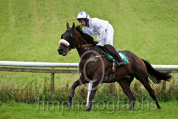 Karkari , Jockey A P Crowe - 2nd- CU2D2262-e