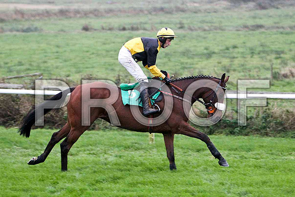 Knocklayde Euro , PU - Jockey E J O'Connell -FT8E5471-e