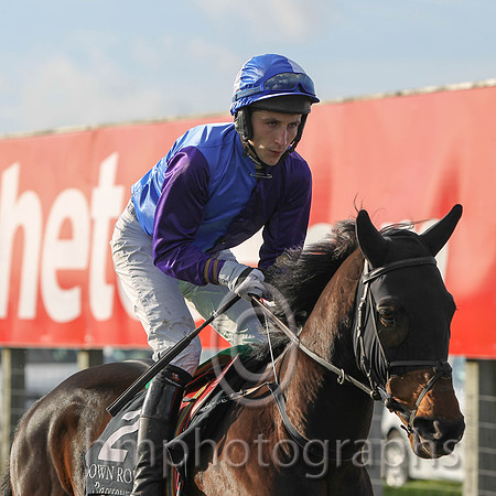 02 Rojo Dove & E J O'Connell - 2nd (2, royal blue and purple halved ) - FT8E9956