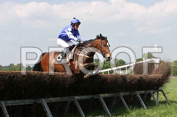 Third Race - Kilbray Lad (6) PU, Rider P W Bartlett - IMG_0341-e