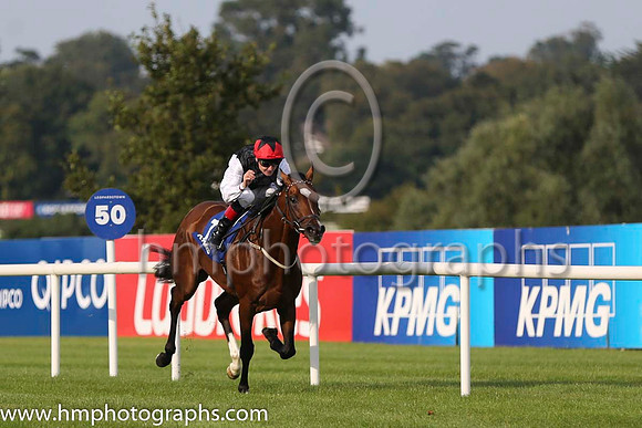 01 Free Eagle and P J Smullen - - 01st (7 ,black, white sleeves, red cap black star ) Trainer - D K Weld