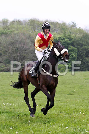 Durless Lady , PU, Jockey D A Fitzsimmons - FT8E2631-e