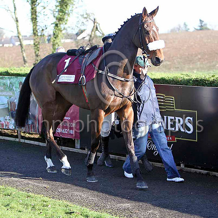 Bostons Angel , Unseated Rider , Jockey R M Power - FT8E6969-e