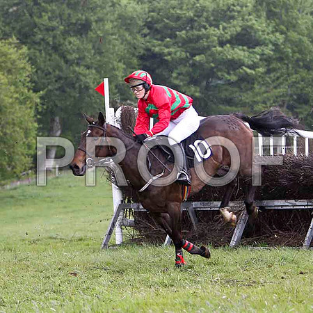 Educated Guess , 7th, Jockey Ms C V Annan  - FT8E2588-e
