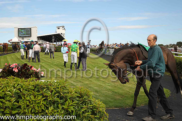 The parade ring at Downpatrick Racecourse Ladies Day