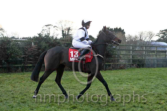 Lady Olwyn , Jockey Ms L O'Neill - 2nd - FT8E4900-e