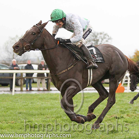 01 Twin Plan & R Walsh -  winners (7, white, emerald green large spots) - FT8E0467-24