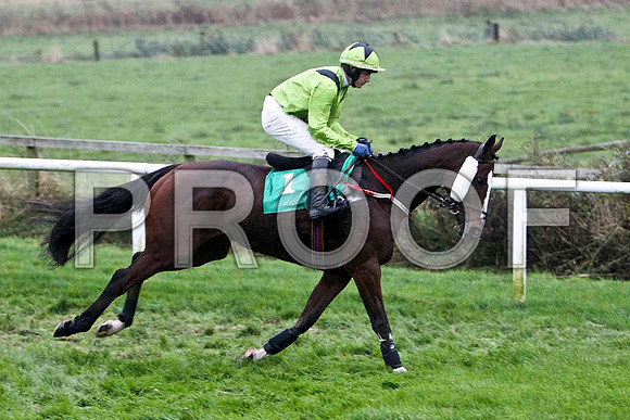 A Little Different , PU - Jockey P Townend - FT8E5455-e