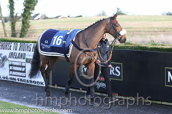01 Roll It Out & R P McNally - winners (16, emerald green and orange hooped ) - FT8E1769-1
