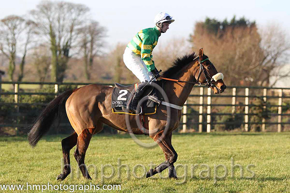 04 Fahamore & N P Madden - 4th (2, emerald green and orange hooped) - FT8E1506-23