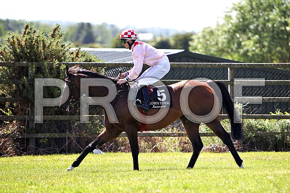 Qadar 6th, Jockey C O'Donaghue - CU2D0209-e