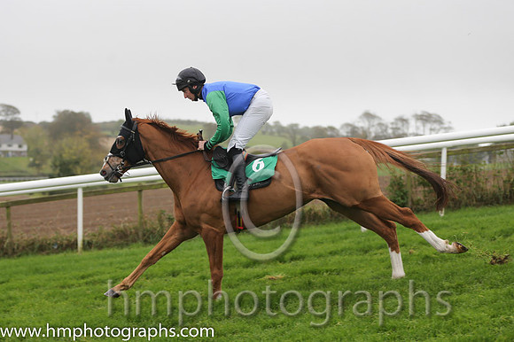 06 Forced Kin and M J Bolger - - 06th (6 ,blue, green sleeves ) Trainer - R K Watson
