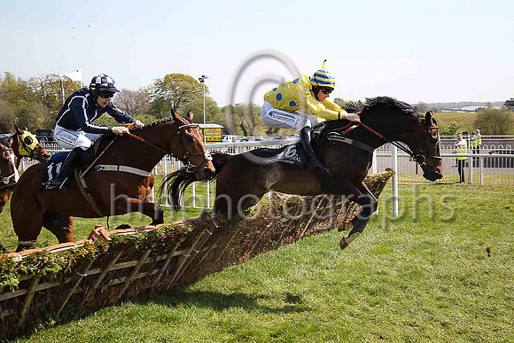 05th Hello Humpfrey and B Browne ( 16 , yellow, royal blue spots ) Trainer - P Casey , Owner - Peter Casey