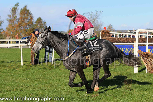 05th Tout Est Permis and M A Enright ( 12 , maroon, white star ) Trainer - M F Morris , Owner - Gigginstown House Stud