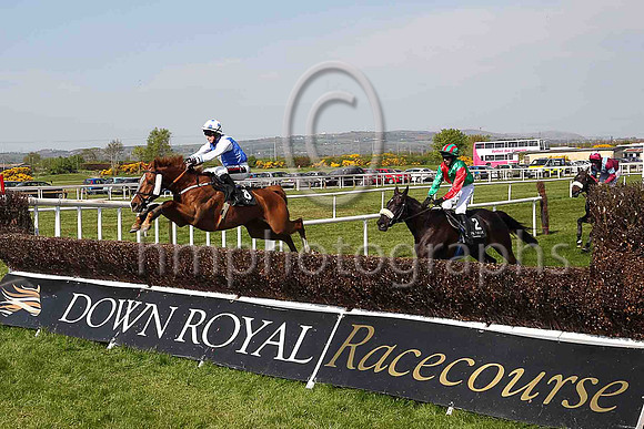 02nd Winter Lion and S W Flanagan ( 8 , royal blue, white sash ) Trainer - Matthew J Smith , Owner - B J Hooper