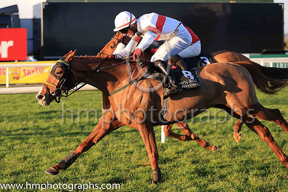 01st Tiger Sam and D Meyler ( 8 , white, red hoop ) Trainer - N Meade , Owner - Noel Meade