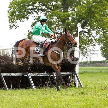Little Luv , 6th, Jockey - M J O'Hare - FT8E2604-e