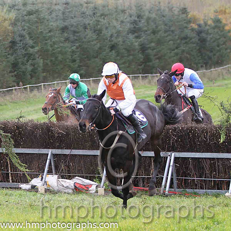 01 Whats Left & J J Codd - winner (16, white, red sash) - FT8E0855-26