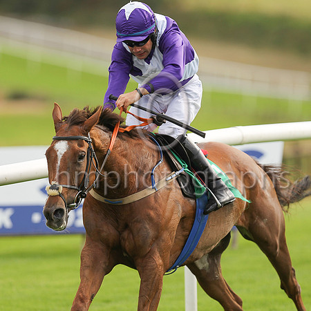 02nd Better Back Bob and R C Colgan ( 1 , purple, white cross sashes ) Trainer - N McKnight , Owner - Philip Boyd