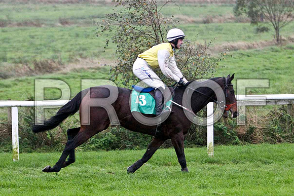 Oh So Gogo , U - Jockey I J McCarthy - FT8E5465-e