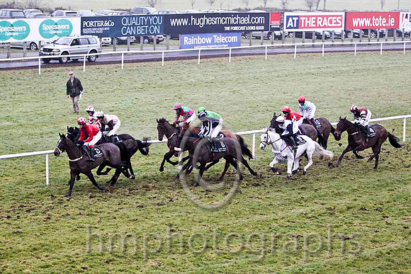 Cute N'Willin (8) in the lead - CU2D2165-e