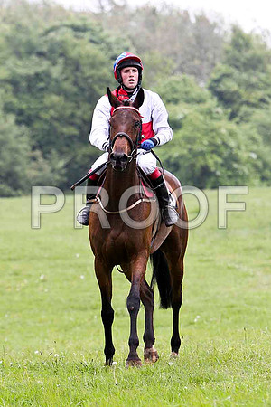 Redbridge Lady , PU, Jockey G L Murphy - FT8E2611-e