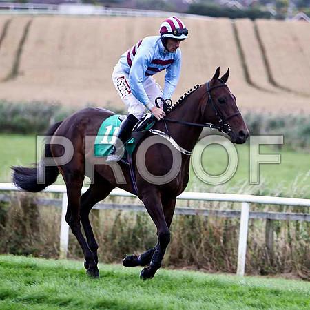 Maddoxtown - 4th , Jockey D N Russell - FT8E3910-e