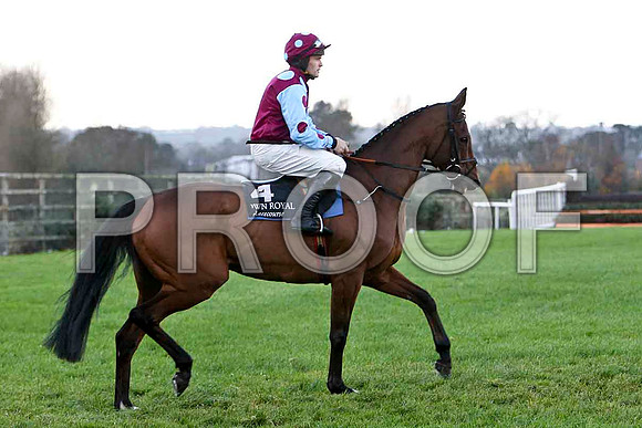 I hear a Symphony - Winner - Jockey  - R C  Colgsan - CU2D0792-e