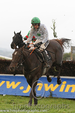 01 Twin Plan & R Walsh -  winners (7, white, emerald green large spots) - FT8E0464-22