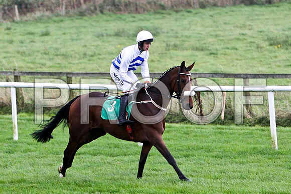 Glibin 4th , Jockey Andrew J McNamara - FT8E5187-e
