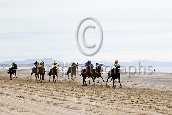 Curl Cat ,Winner in the lead, Jockey Mr M P Fogarty -FT8E4271-e2