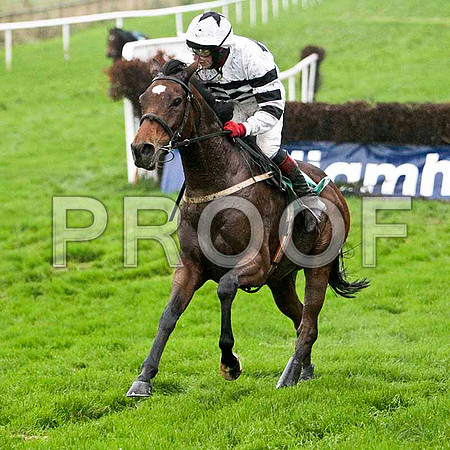 Safari Sunup , 5th - Jocket M P Butler - FT8E5517-e