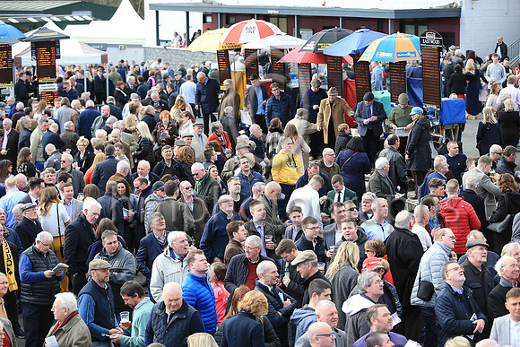 Large Crowds at Downpatrick Racecourse