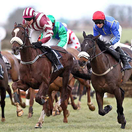 Cottage Star - 11th - JOckey B J Geraghty & Lord Rudi - 5th - Jockey N J O'Shea - CU2D3170-e