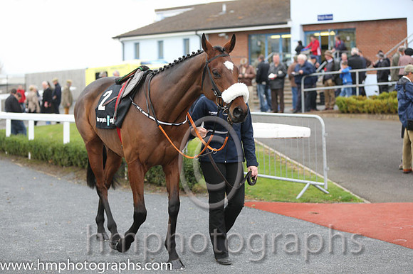 07 Tiger Roll and B J Cooper - PU - 07th (2 ,maroon white star ) Trainer - G Elliott