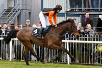 2010/12/30th - Race 4 - Down Royal - Irish Stallion Farms European Breeders Chase of 12,500 Euro