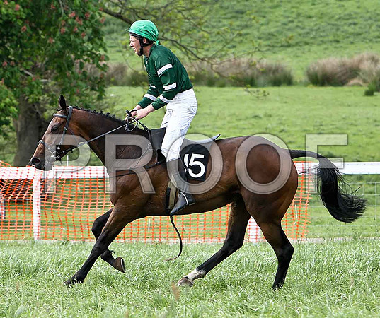 Fifth Race Div 2 - Bridge to Nowhere (15) PU, Rider J S Vance- CU2D9736-e