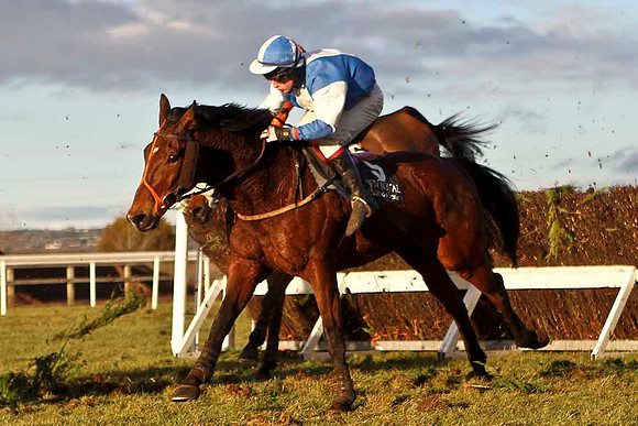 Rossbeigh 6th, Jockey P F Mangan - CU2D3275-e