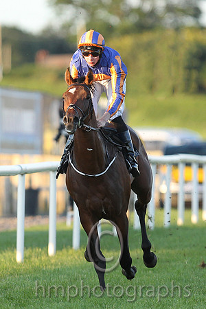 1st No 4 Order Of St George (IRE) (3) - Jockey: J P O'Brien - Trainer: A P O'Brien - Colours: royal blue, orange disc