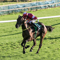 01st Flanking Maneuver and Mr F Maguire ( 2 , maroon, white star ) Trainer - N Meade , Owner - Gigginstown House Stud