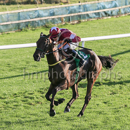 01st Flanking Maneuver and Mr F Maguire ( 2 , maroon, white star ) Trainer - N Meade , Owner - Gigginstown House Stud
