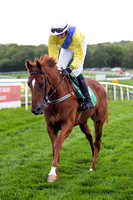 Knockcroghery , 5th, Jockey - D J Bates - FT8E2912-e