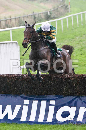 Par Five , 9th - Jockey N P Madden - FT8E5380-e