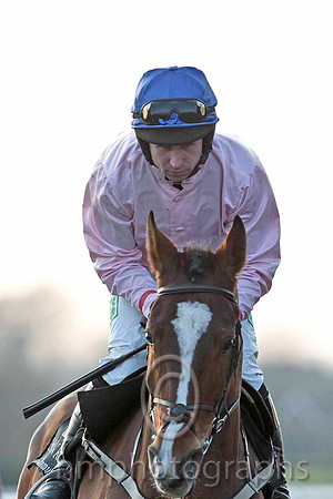 Los Amigos & Mr J P McKeown - 2nd - CU2D0269-e