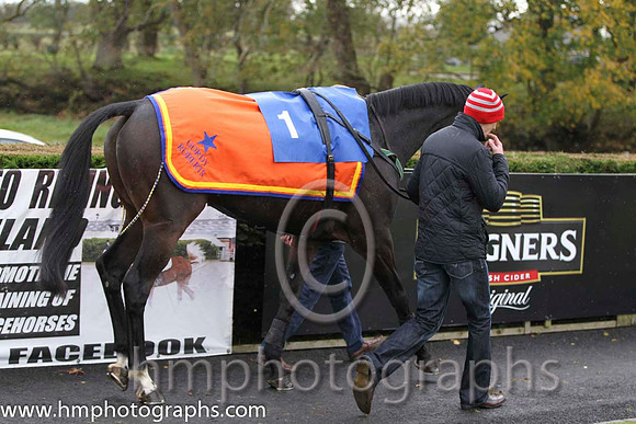 01 Gilt Shadow & Mr S Crawford - winner (1, orange, royal blue star) - FT8E0237-58